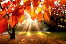 Ilyen lesz az időjárás a következő két hétben