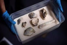 Megmenekült a porig égett Rio de Janeiró-i múzeum 12 ezer éves lelete