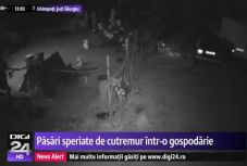 Felvételek is készültek az elmúlt 14 év legnagyobb romániai földrengéséről