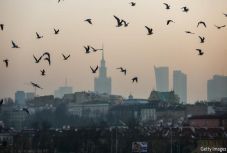 Évente félmillió európai hal meg légszennyezettség miatt