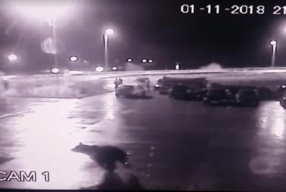 Szeben megye: egy nagytestű medve rohangált az emberek között