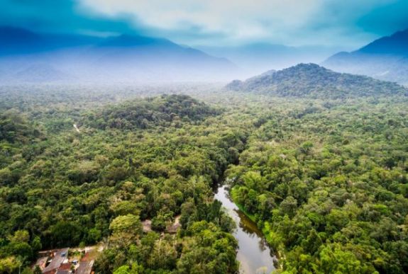 Az esőerdők lassan alkalmazkodnak a klímaváltozáshoz