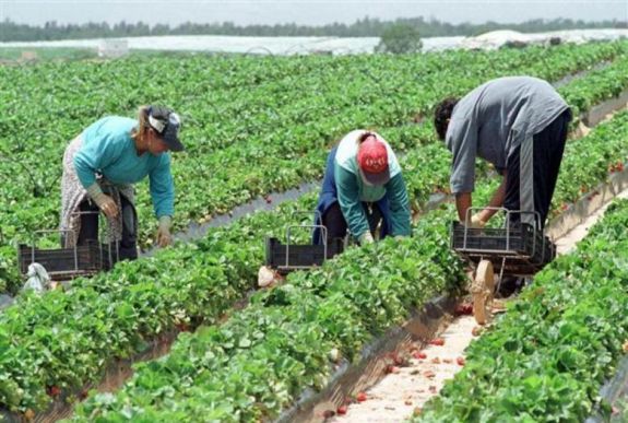 Csaknem száz rabszolgamunkára kényszerített embert szabadítottak ki Ukrajnában