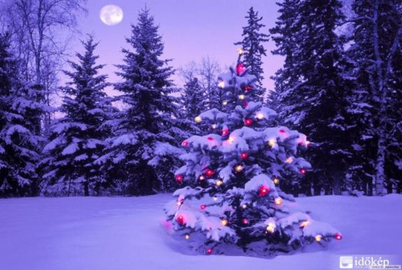 Ha a népi mondásnak hinni lehet, havas karácsonyunk lesz