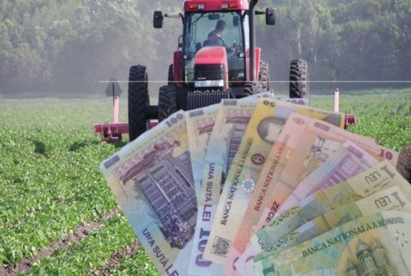 Pályázati lehetőségek Hargita megyei gazdaszervezeteknek