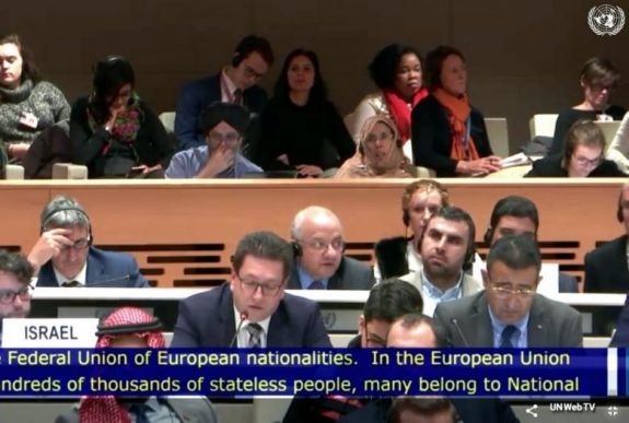 Az erdélyi magyarság ügyeiről beszélt Vincze Loránt az ENSZ kisebbségügyi fórumán