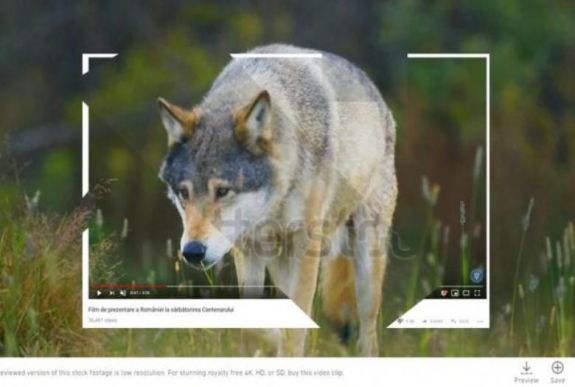 Ez már röhej: a farkas norvég, a búza orosz a centenáriumi propagandafilmben