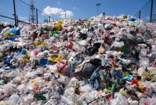 A környezetvédelemhez kapcsolódik az év szava