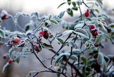 Jóval fagypont alatti hőmérsékletet mértek csütörtökön Csíkszeredában