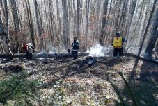 Eloltották a Kászonaltíz közelében kiütött erdőtüzet