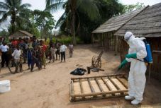 Ismét tombol az ebolajárvány Kongóban