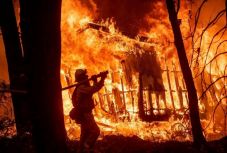 Újabb tizennégy holttestet találtak a kaliforniai tűzvészben