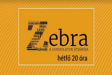 Szülővé válásról az Erdély TV Zebra című műsorában   