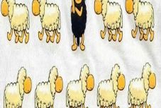 Bartha Réka: Amikor a vér vízzé válik