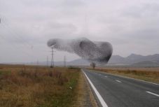 Hitchcocki jeleneteket filmeztek a Măcin-hegységben