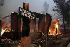 Trump katasztrófa sújtotta területté nyilvánította egész Kaliforniát