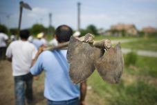 Csökkentenék a napszámosokat érintő bürokráciát
