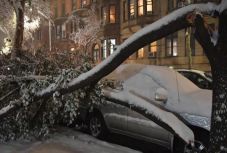 Meglepte New York városát az idei első hó