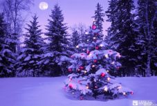 Ha a népi mondásnak hinni lehet, havas karácsonyunk lesz