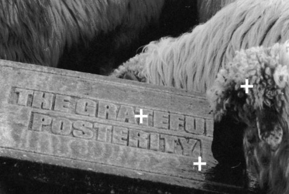 Kalóriadús kiállítás nyílik a sepsiszentgyörgyi MAGMÁban