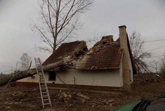 Szinte kettévágta a harminc méteres fa a magyarországi házat