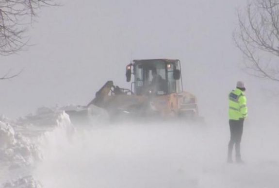 Fa dőlt egy közlekedő gépkocsira Déva és Arad között