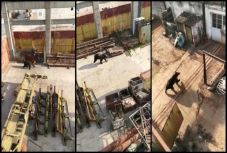 FRISSÍTVE – Medve keltett óriási pánikot az egyik brassói bevásárlóközpont közelében