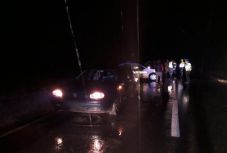 Gépkocsi ütött el egy medvét Bürkösnél