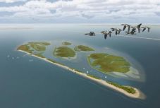 Mesterséges szigettel csalogattak visssza állatokat