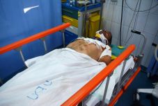 Várat magára a módosított vadásztörvény hatályba lépése