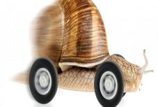 Bogdán Tibor: A söröző csiga és a sztrádaépítők