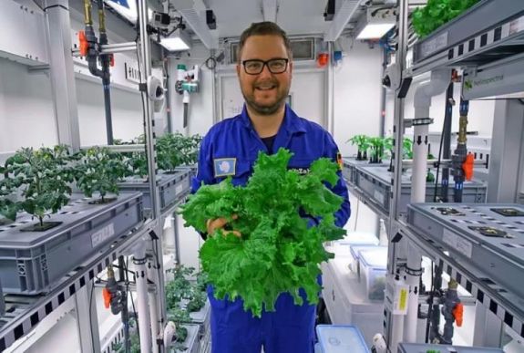 Jó termést hozott a Német Űrközpont antarktiszi üvegháza