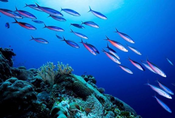 A vártnál sokkal gyorsabban melegednek az óceánok