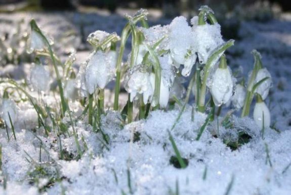Nagy változásokat hoz az időjárásban február