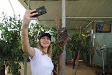 WTA-ranglista: 62. hete vezet Simona Halep