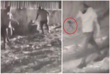 Felvétel készült a „miniamnesztiával” szabadult férfi újabb gyilkosságáról