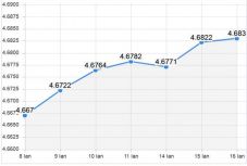 Újabb csúcson az euró: szerdán sem állt meg a lej zuhanása