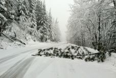 Szikladarabok és fák zuhanhatnak a 15-ös országútra