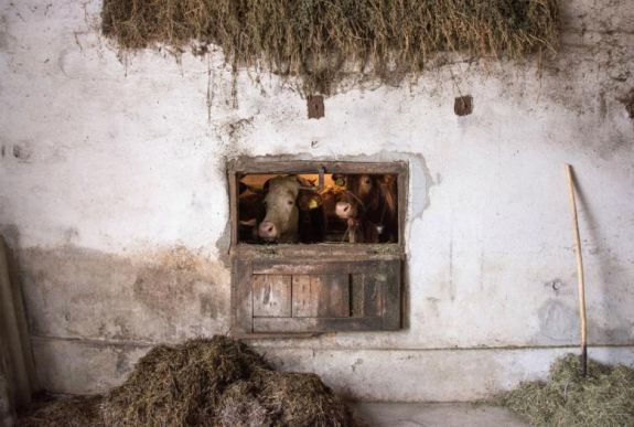 Háromszéki operatőrt díjaztak Budapesten