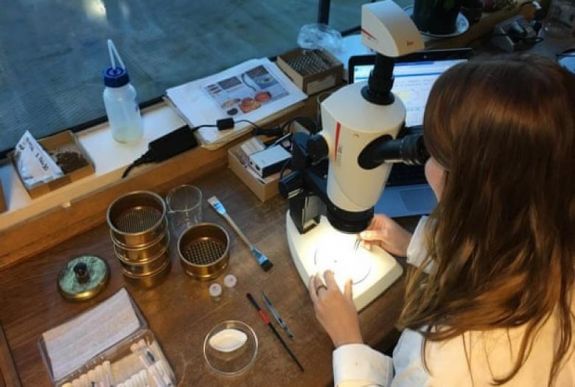 Kiderült: Angliában már a vaskorban készítettek sört