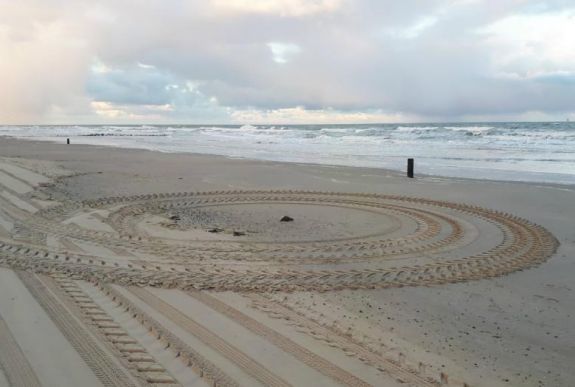 Mintegy húszezer lumma pusztult el Hollandia partjainál