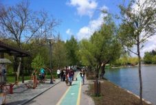 Babakocsistól esett a tóba Bukarestben egy csecsemő