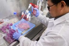 Nemsokára elkezdődik a sérült gerincvelő gyógyításának tesztelése