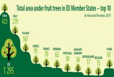 Eurostat: Románia a hatodik legnagyobb gyümölcstermesztő