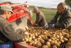 Ekkortól lehet benyújtani az egységes agrártámogatási kérelmeket