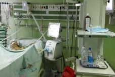 Újabb két személy halálát okozta az influenza, 157-re nőtt a halálos áldozatok száma