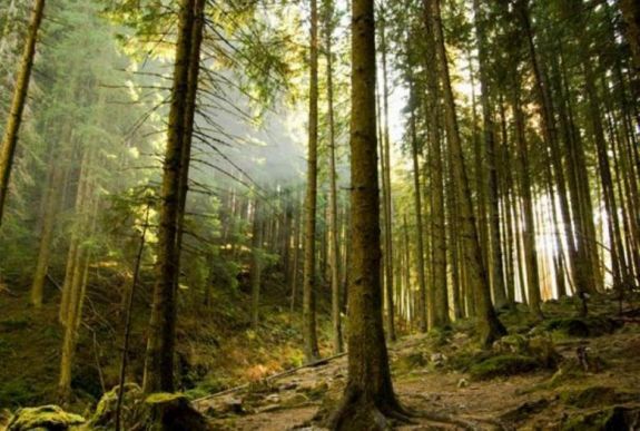 FRISSÍTVE - Újabb visszaszolgáltatott Bánffy-vagyonokat perelt vissza a román állam