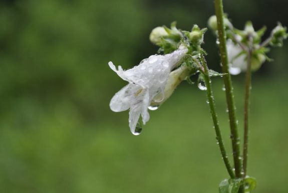 Már biztosan várta ezt a meteorológiai előrejelzést
