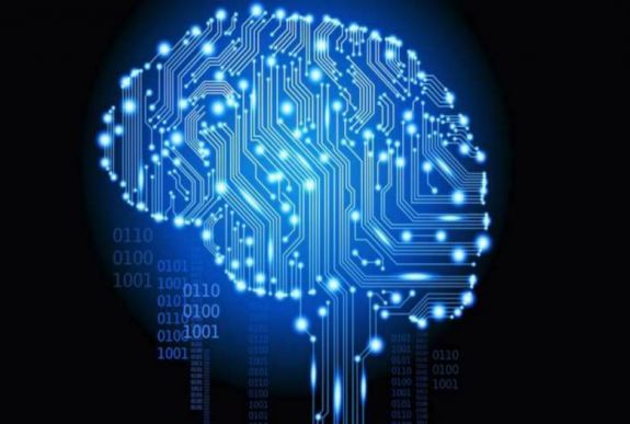 A matematika segítségével osztályozzák az agysejteket a kutatók