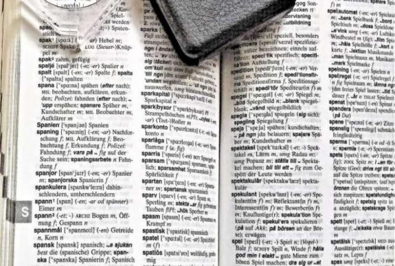 Mintegy 1,5 megabájt adatot foglal el az agyban a nyelvismeret